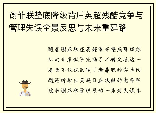 谢菲联垫底降级背后英超残酷竞争与管理失误全景反思与未来重建路 谢菲联垫底降级背后英超残酷竞争与管理失误全景反思与未来重建路